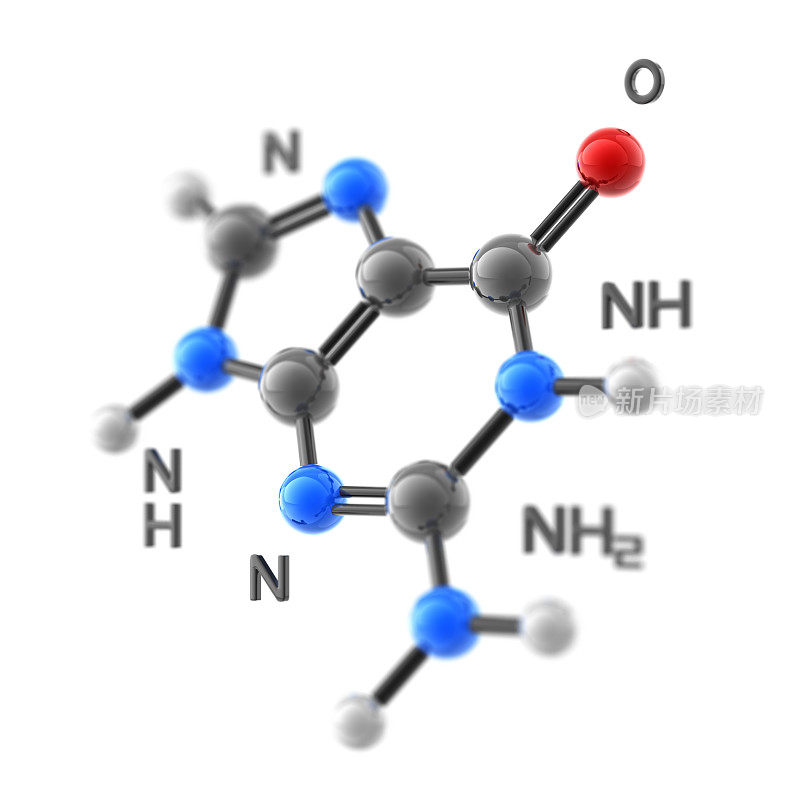 鸟嘌呤分子