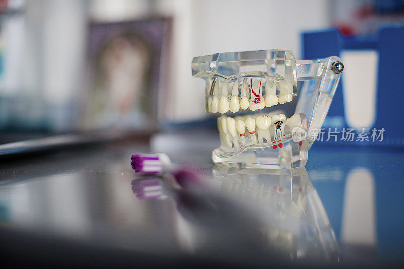 牙科诊所的假牙和牙刷