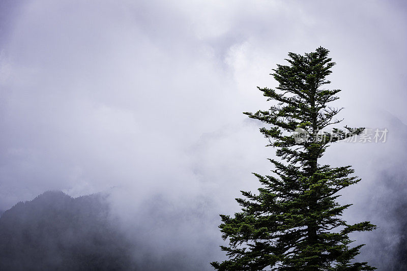 云中阿尔卑斯山山脉的全景