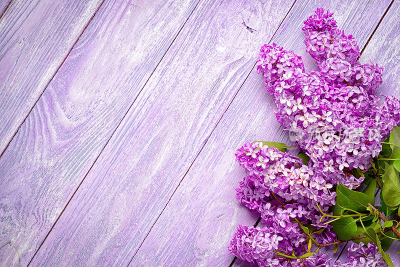 在有复印空间的木板桌子的角落放一束紫丁香