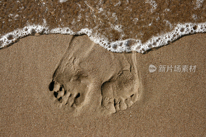 沙地上有腿的痕迹