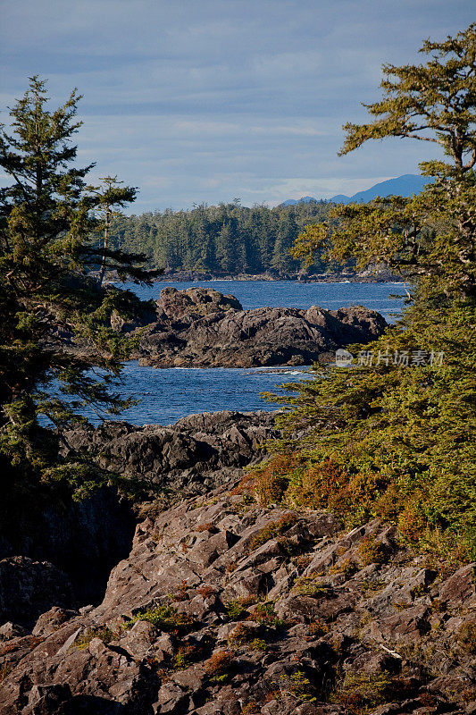 沿着野生太平洋小径的海景，Ucluelet