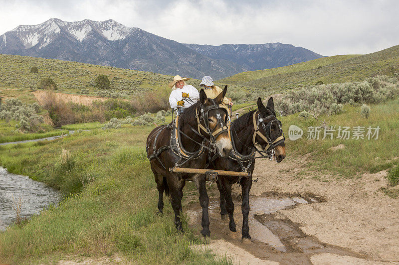 这对夫妇在美国犹他州盐湖城的桑塔奎因山谷乘马车旅行