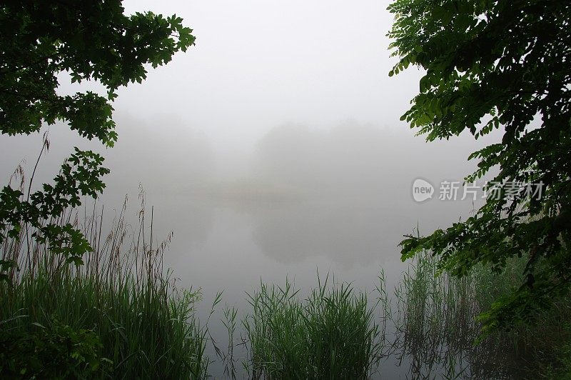 湖上有雾