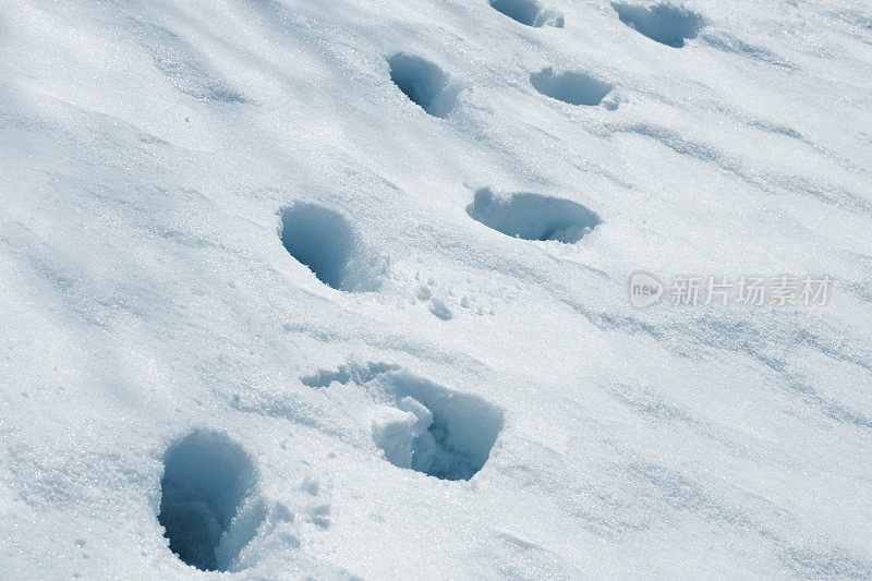 深雪中的脚印(5000万像素)