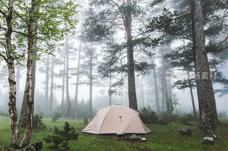 雾林中的灰色轻型帐篷。天气寒冷潮湿，有雾，可徒步，过夜露营