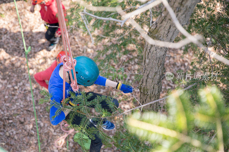 十几岁的男孩用绳子爬树