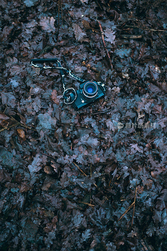 丢失的老式srl相机躺在森林的秋叶上。前视图。