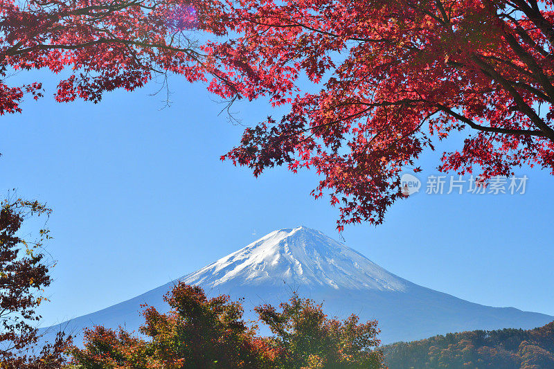 日本富士五湖地区的富士山和秋叶