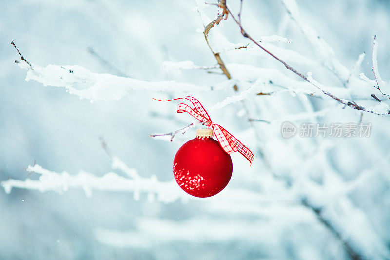 白雪覆盖的树枝上挂着红色的圣诞装饰物
