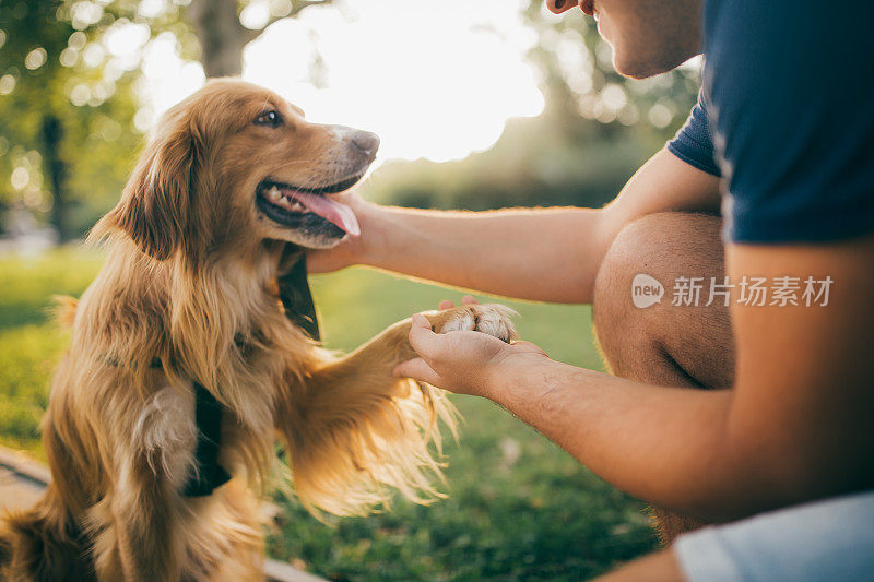 盖伊和他的狗，金毛猎犬，在城市公园。