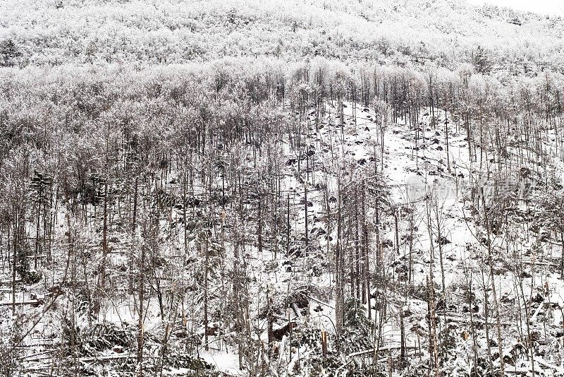 降雪