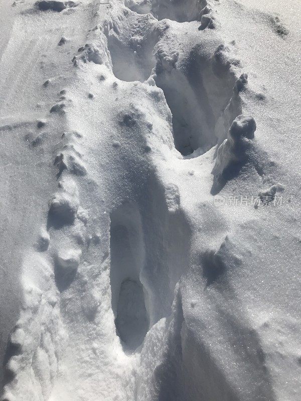 雪地里的脚步声