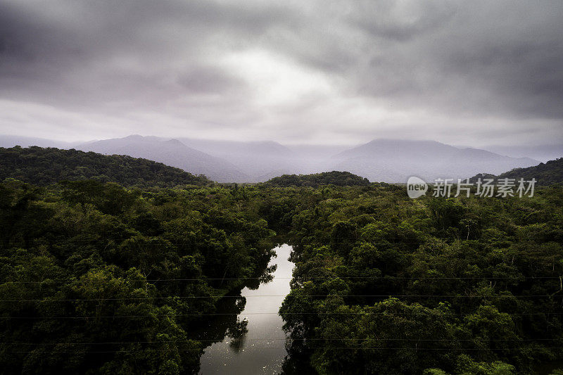 热带雨林的鸟瞰图