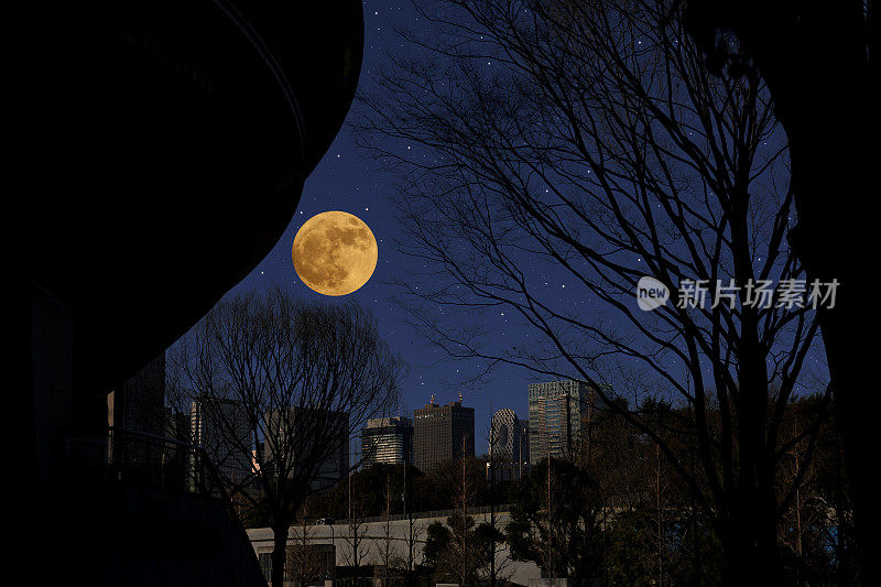满月升起在东京新宿的天际。