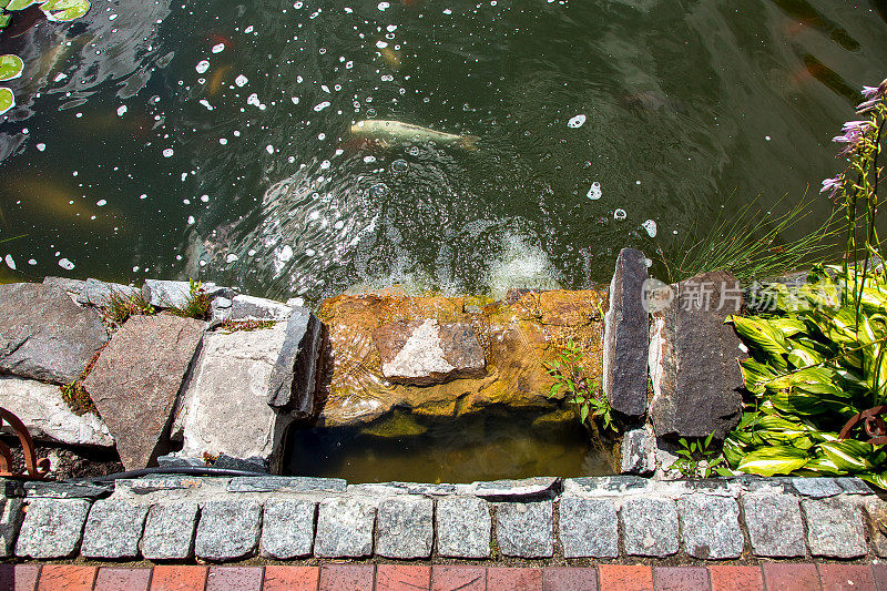 池塘与鱼和人造瀑布由石头从人行便道下流动，在阳光明媚的日子俯视图。
