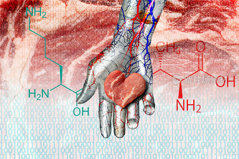 心形的人造肉被放置在金属机器人的手掌上。背景是牛肉和信使rna编码。