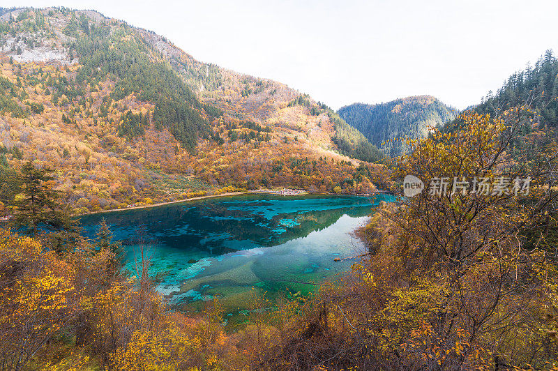 风景优美的木山和五花湖(九寨沟国家公园)，中国