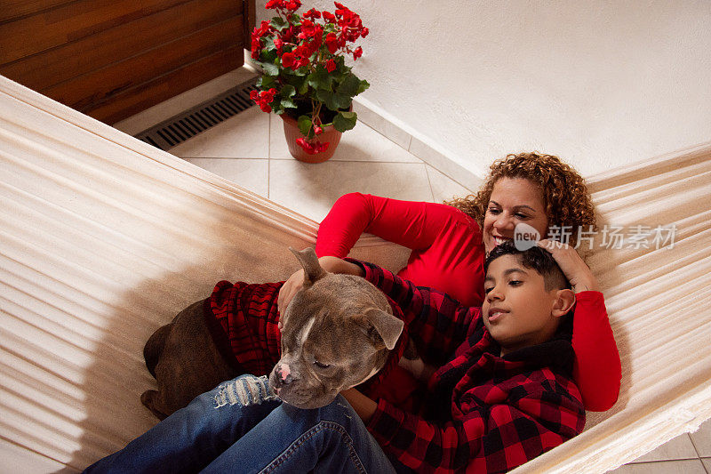 母亲和儿子和狗在吊床上