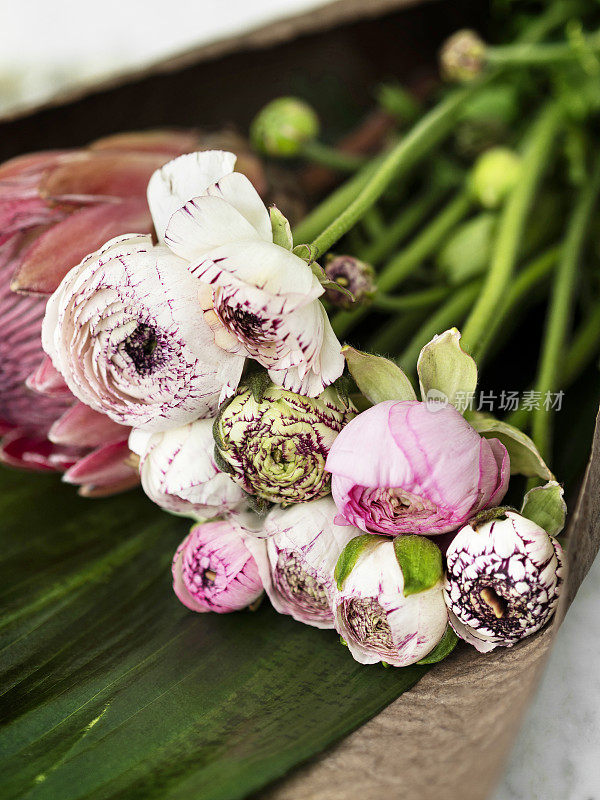 花束，花蕊，毛茛花，淡粉色毛茛，波斯毛茛，插花