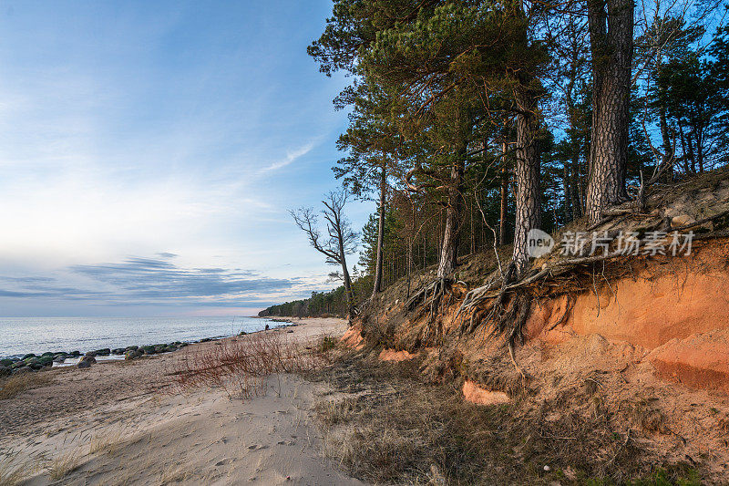 Vidzeme的海滨