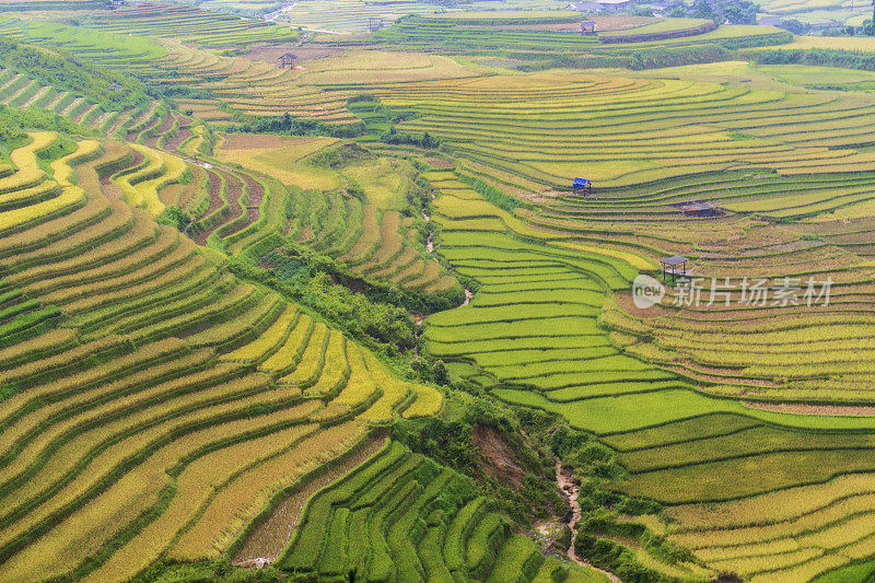 水稻梯田位于越南的木仓寨、颜白、山岭谷地。