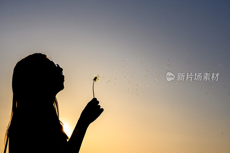 年轻的嬉皮女孩吹蒲公英在股票照片