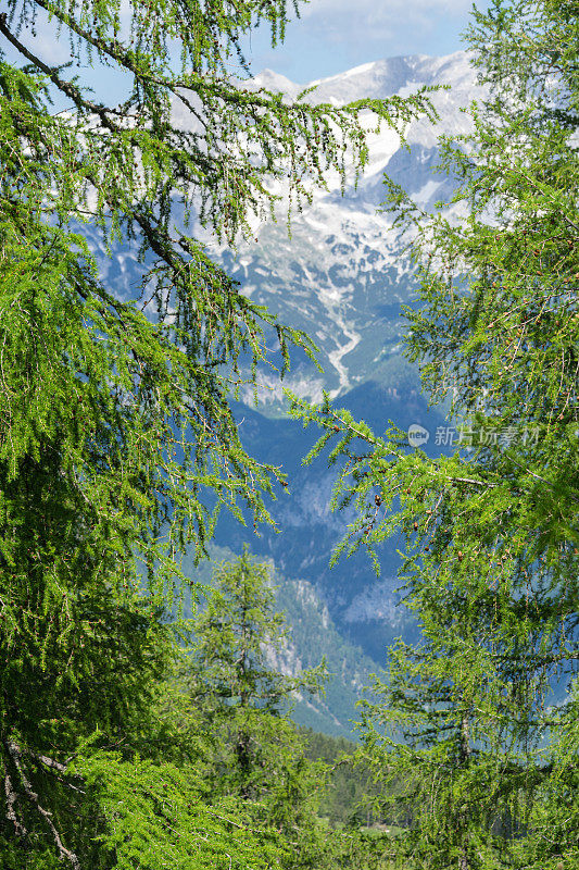 奥地利内陆村附近的阿尔卑斯山景色