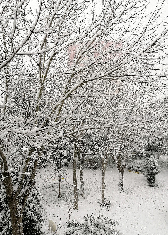 下雪的一天