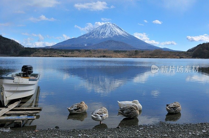 从富士五湖地区看富士山的冬天