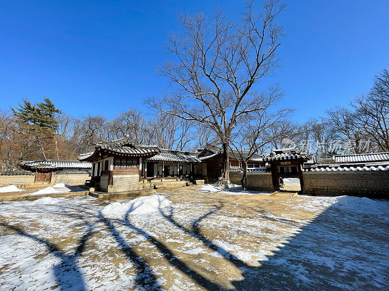 韩国的冬季景观