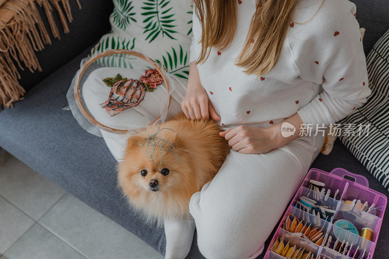 妇女与狗刺绣现代在家