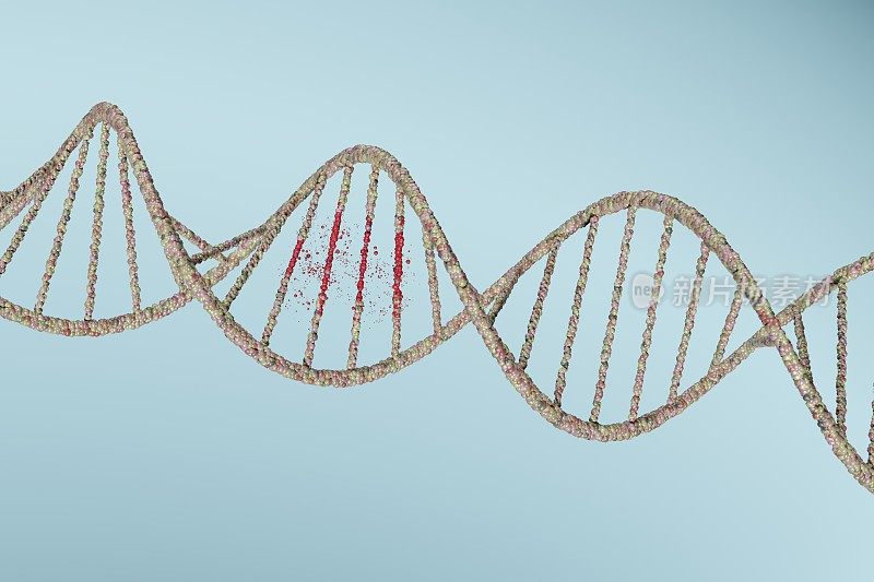 螺旋上红色的修复DNA