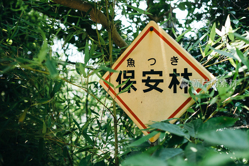 沿海岸种植的森林保护区招牌