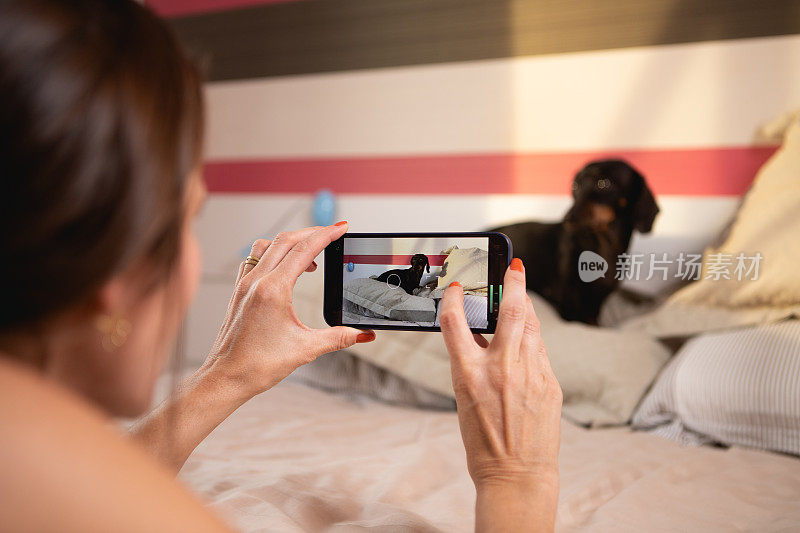 用智能手机给狗狗拍照的人