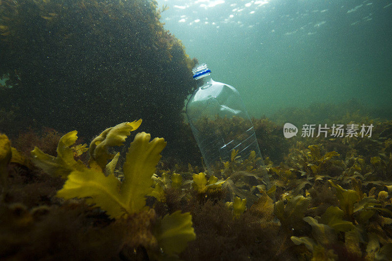 海洋中的塑料污染