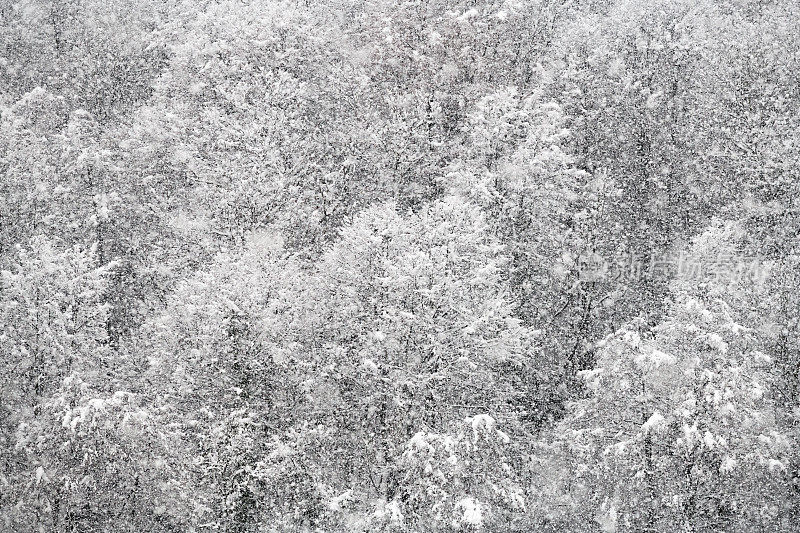 暴风雪