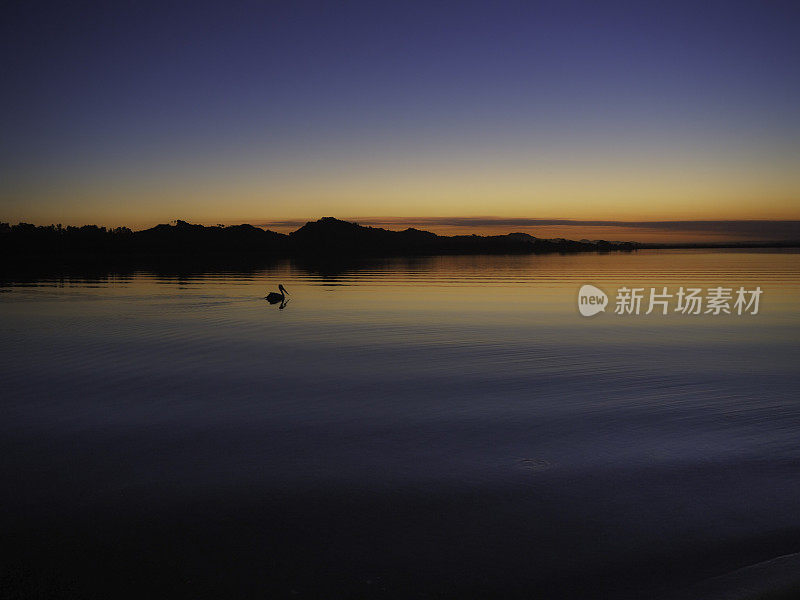 一只鹈鹕的剪影漂浮在湖面上