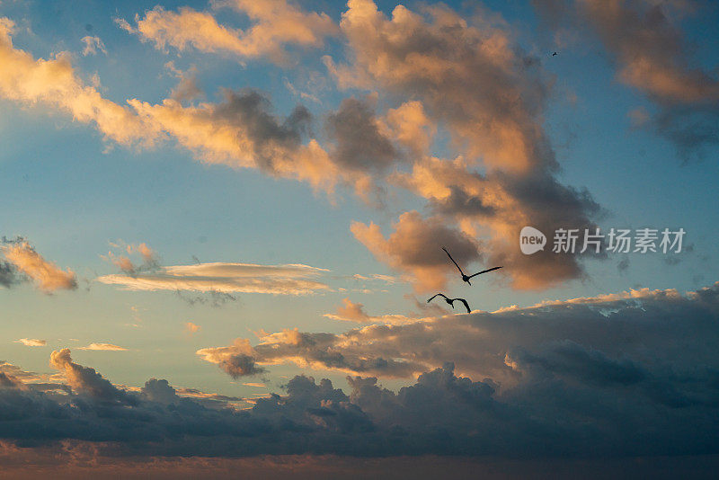 日出时天空中飞翔的两只鸟