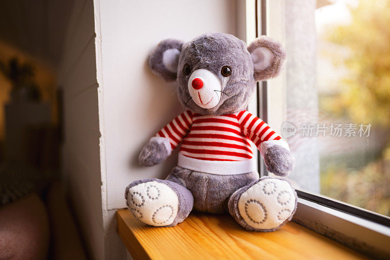 毛绒泰迪熊玩具，在圣诞毛衣上的窗户