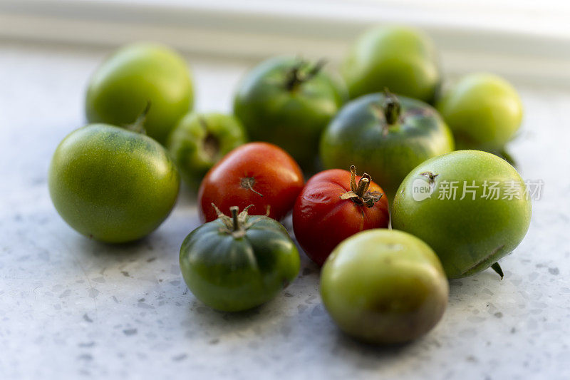 在窗台上成熟的西红柿