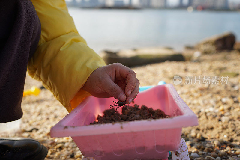 人们在海滩上玩耍