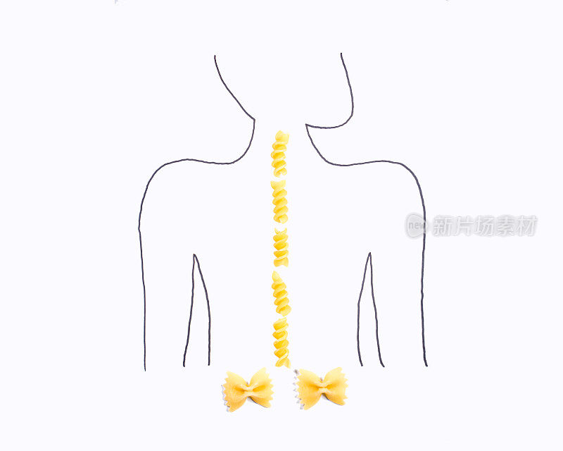 脊柱和臀部