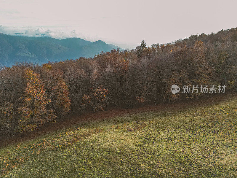 无人机鸟瞰图:彩色混合秋天森林空中背景