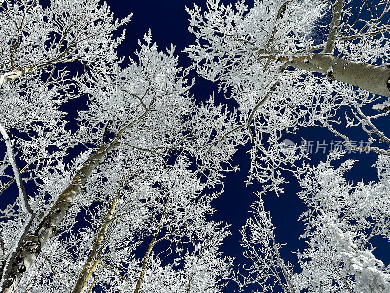 山上的雪