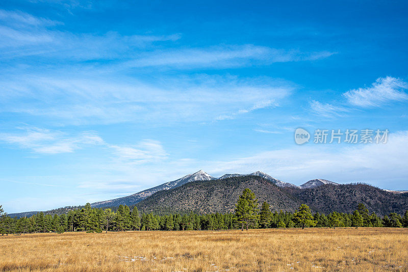 布法罗公园和白雪覆盖的旧金山山峰