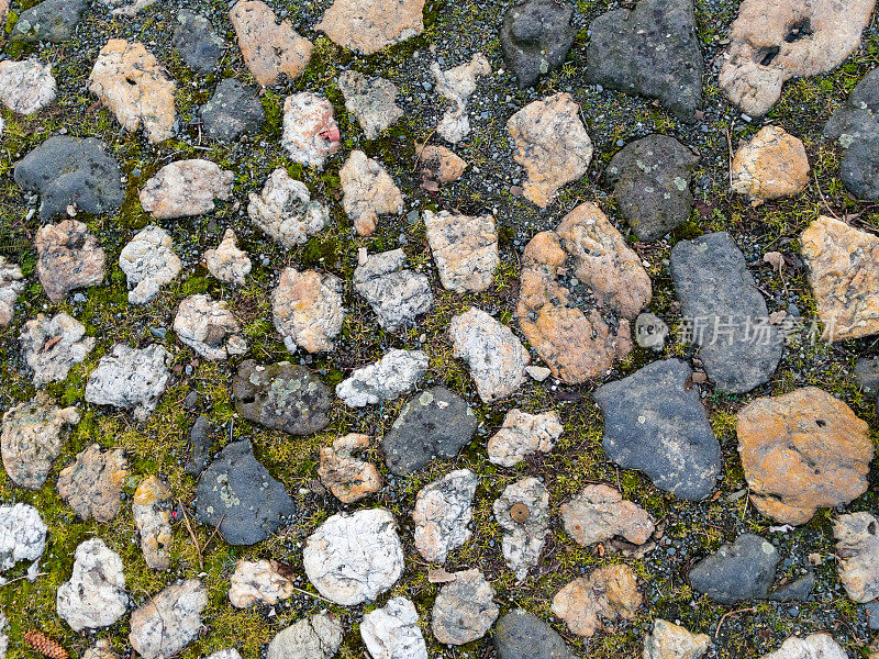 古代铺路石。石头间有草。