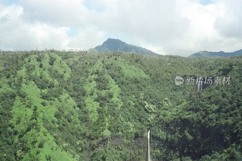 郁郁葱葱的夏威夷丘陵