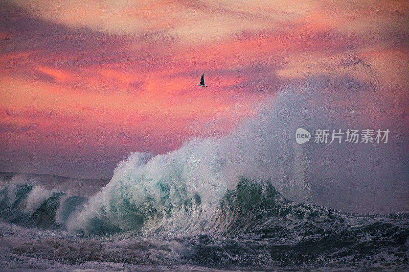 海浪碰撞着戏剧性的粉红色和红色的天空