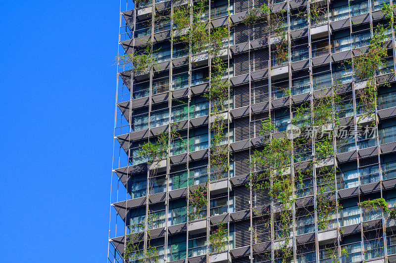 蓝天背景下的城市绿色生态建筑